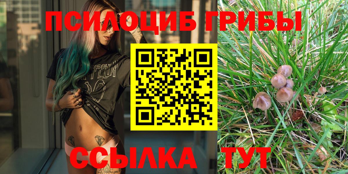 Стерлитамак  Галлюциногенные грибы Psilocybe  Галлюциногенные грибы Magic Shrooms  Вход с VPN 
